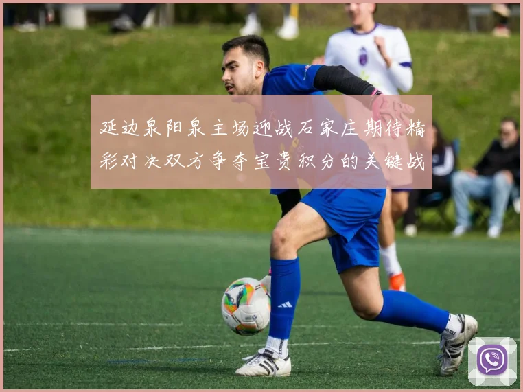 延边泉阳泉主场迎战石家庄期待精彩对决双方争夺宝贵积分的关键战役