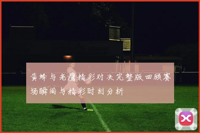 黄蜂与老鹰精彩对决完整版回顾赛场瞬间与精彩时刻分析