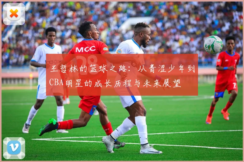 王哲林的篮球之路：从青涩少年到CBA明星的成长历程与未来展望